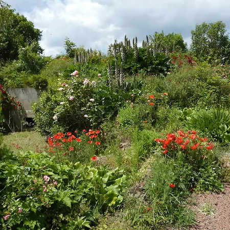 Gite Val De Loire L'Instant Famille Saint-Leger-de-Montbrillais Extérieur photo